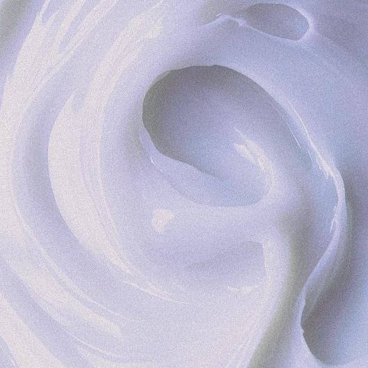 Brazilian Bundle (STUDENT)